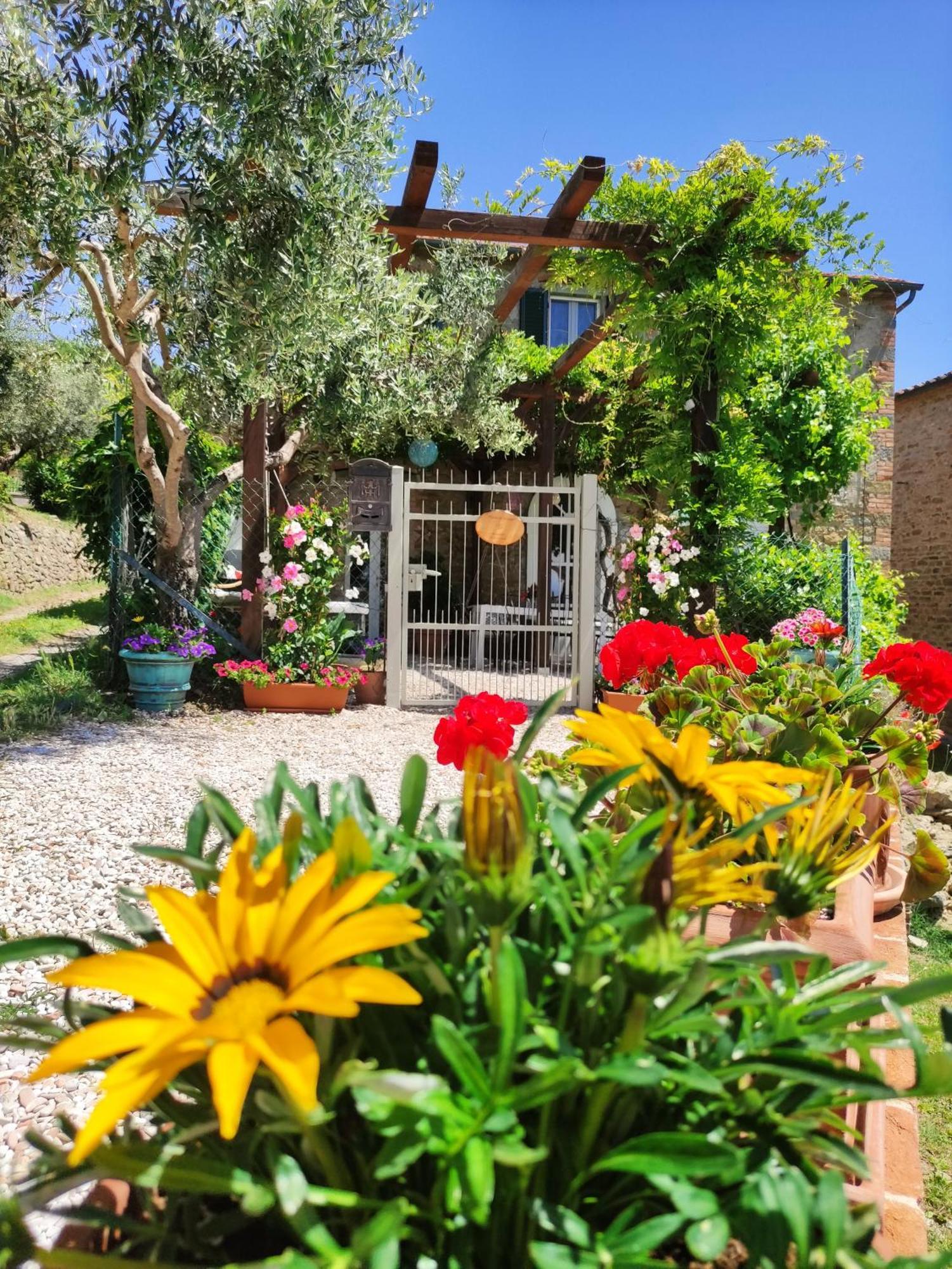 Private Stone Cottage With Starlink & Lake View Tuoro sul Trasimeno Exterior photo