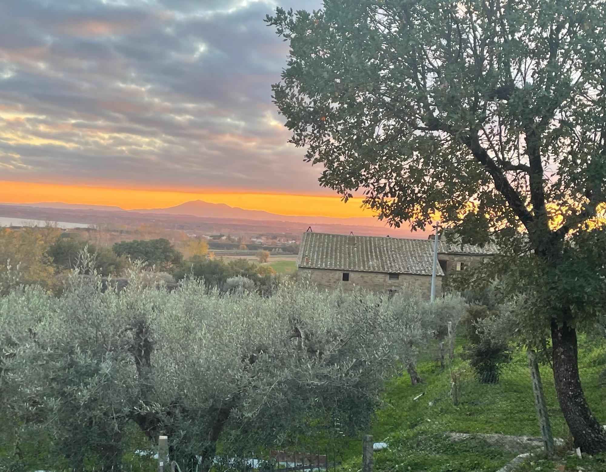 Private Stone Cottage With Starlink & Lake View Tuoro sul Trasimeno Exterior photo