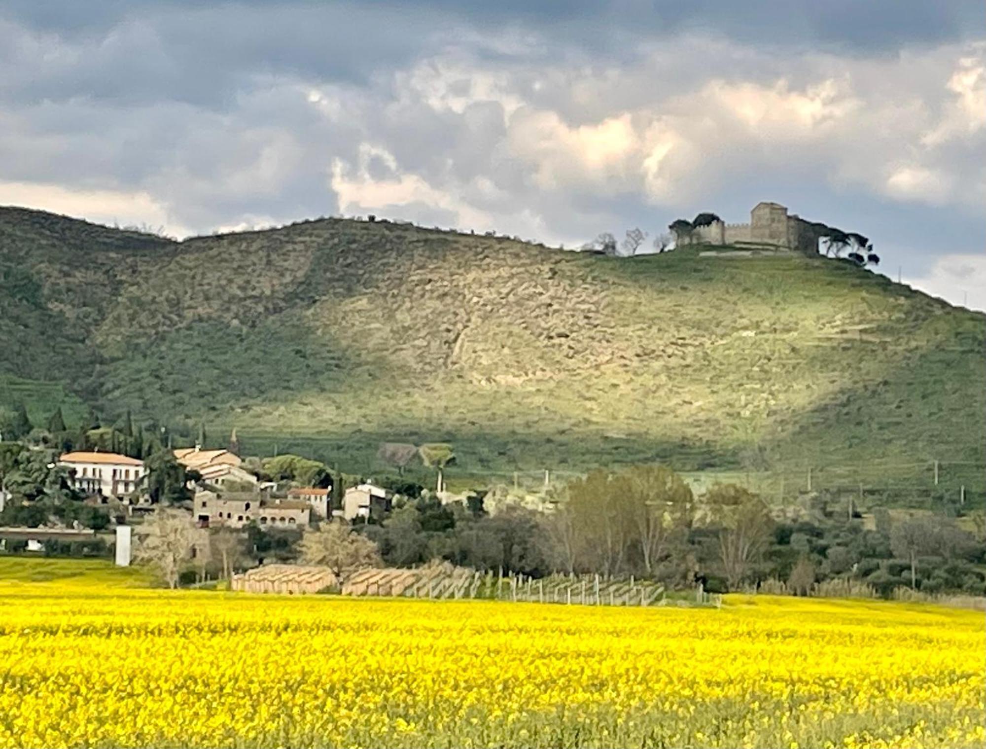 Private Stone Cottage With Starlink & Lake View Tuoro sul Trasimeno Exterior photo